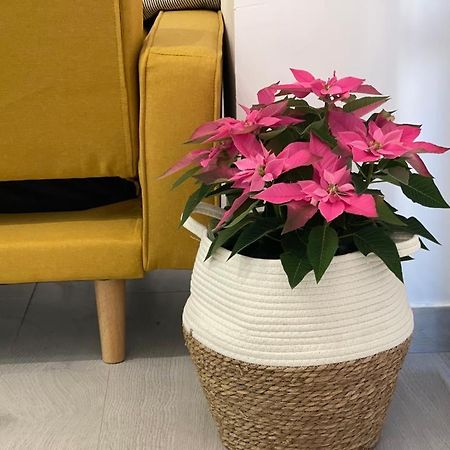 Nuevo Apartamento Folin Don Benito Eksteriør bilde
